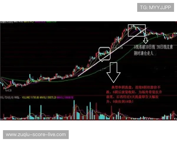 波胆最多能串几场避坑指南极速提现技巧